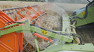 Harvesting grain. Harvester `claas lexion`