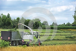 Harvesting grass with a Forager and trailer photo