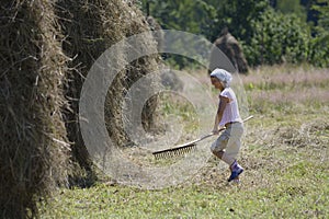 Harvesting grass. Woman gathering hay by a rake to stack it