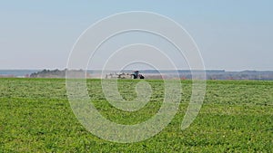 Harvesting green fodder in the field