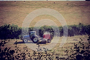 harvesting hay