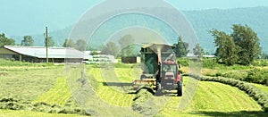 Harvesting Hay