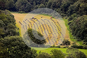 Harvesting hay in Mountain Pyrenees