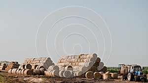 Harvesting hay. Tractor loading hay bales on a trailer. Pressing straw into ricks by baler. Transportation of pressed