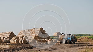 Harvesting hay. Tractor loading hay bales on a trailer. Pressing straw into ricks by baler. Transportation of pressed