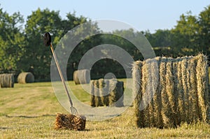 Harvesting hay two