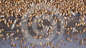 Harvesting industry scene kernels in farm machine