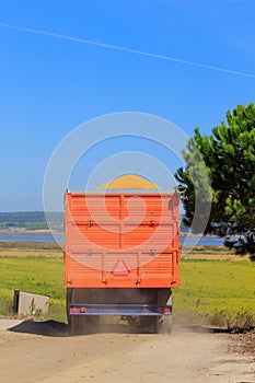 Harvesting near the Rio Sado, Portugal