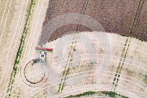 Harvesting oilseed rape in autumn field