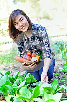 Harvesting organic vegetables