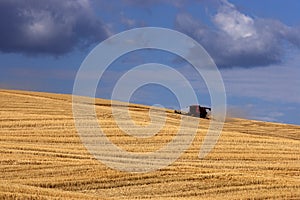 Harvesting on the Palouse