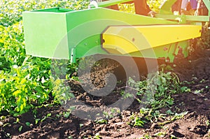 Harvesting potatoes on the field. The mechanism of potato harvesting in work. tractor plow to dig potatoes. plowing land, agricult