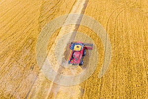 harvesting process red harvest combine harvests wheat at sunset