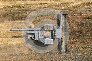 Harvesting in progress. Aerial view of black combine harvester harvesting wheat in field.