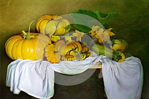 Harvesting pumpkins.Harvest festival.Still life of a ripe pumpkin and patison