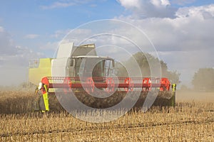 Harvesting rapeseed in a combine