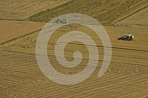 Harvester and tractor harvesting rice fields