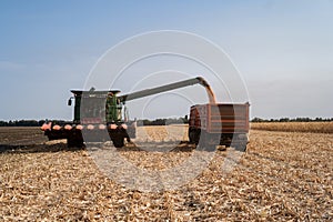 Harvesting ripe dry corn in the field with a green harvester