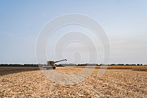 Harvesting ripe dry corn in the field with a green harvester