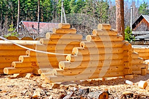 Harvesting roof for log houses from round timber