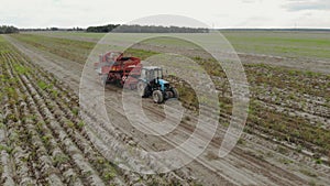 Harvesting of root crops trailed potato harvester with sorter on Board