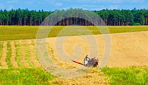 Harvesting of rye