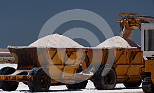 Harvesting salt