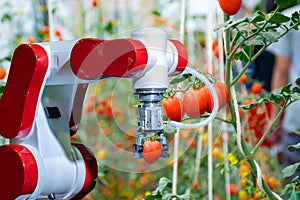 Harvesting with smart robotic farmers in agriculture futuristic robot automation to work to spray chemical fertilizer