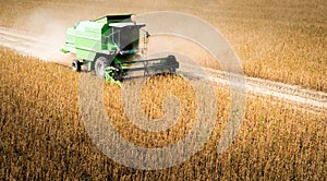 Harvesting of soy bean field with combine