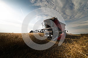 Harvesting of soy bean field