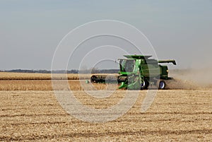 Harvesting soy beans