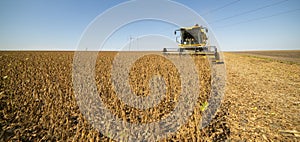 Harvesting of soybean