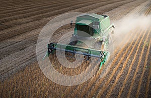 Harvesting soybean