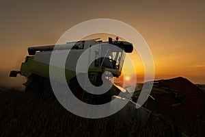 Harvesting of soybean field with combine