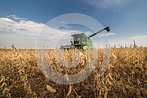 Harvesting of soybean field photo
