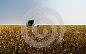 Harvesting of soybean field with combine