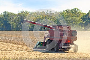 Harvesting Soybeans