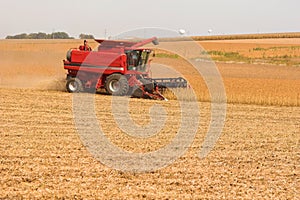 Harvesting Soybeans