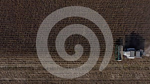 Harvesting of sunflower seeds, aerial view