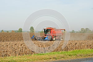 Harvesting of sunflower seeds with combine