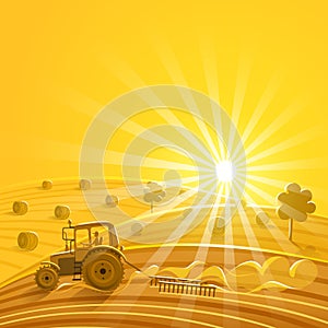 Harvesting on the sunny background