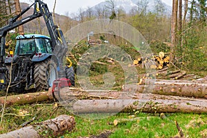 Harvesting of trunks with a mechanical arm in a forest