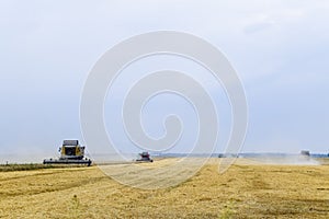 Harvesting wheat with a combine harvester.