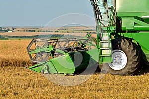 Harvesting the wheat crop