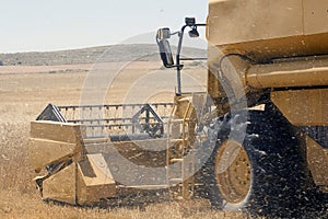 Harvesting Wheat, detail