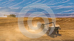 Harvesting the Wheat in a Dusty Field