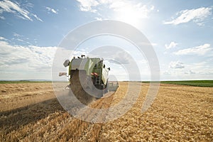 Harvesting wheat harvester on a sunny summer day