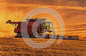 Harvesting Wheat in the Last Bit of Sunset