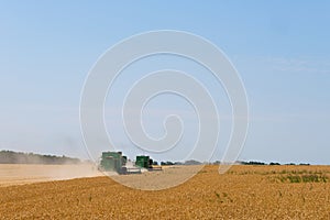 Harvesting of wheat in summer.