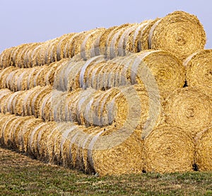 Haystacks on an agricultural field